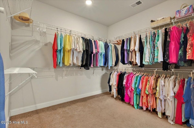 97 Eagle Claw Dr, Calabash, NC 28467 - walk in closet with carpet floors