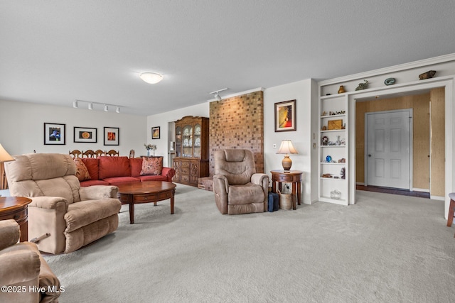 106 Millstone Rd, West End, NC 27376 - living room featuring carpet flooring, track lighting, and a textured ceiling