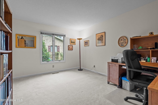 106 Millstone Rd, West End, NC 27376 - office featuring light carpet, baseboards, and a textured ceiling