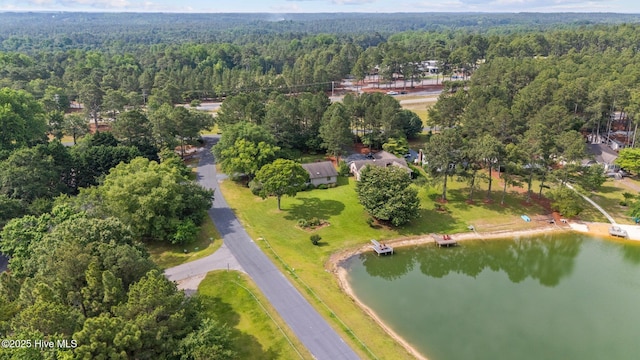 106 Millstone Rd, West End, NC 27376 - view of property location with a heavily wooded area and a large body of water