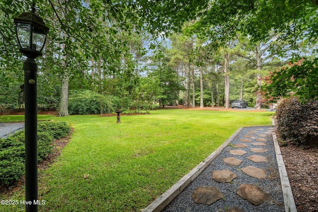 106 Millstone Rd, West End, NC 27376 - view of green lawn