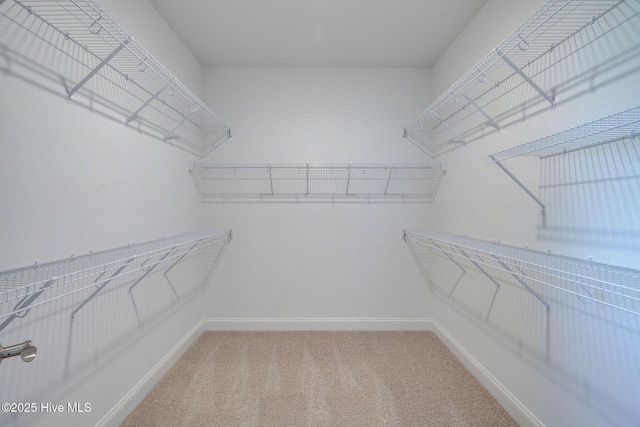 spacious closet with light colored carpet