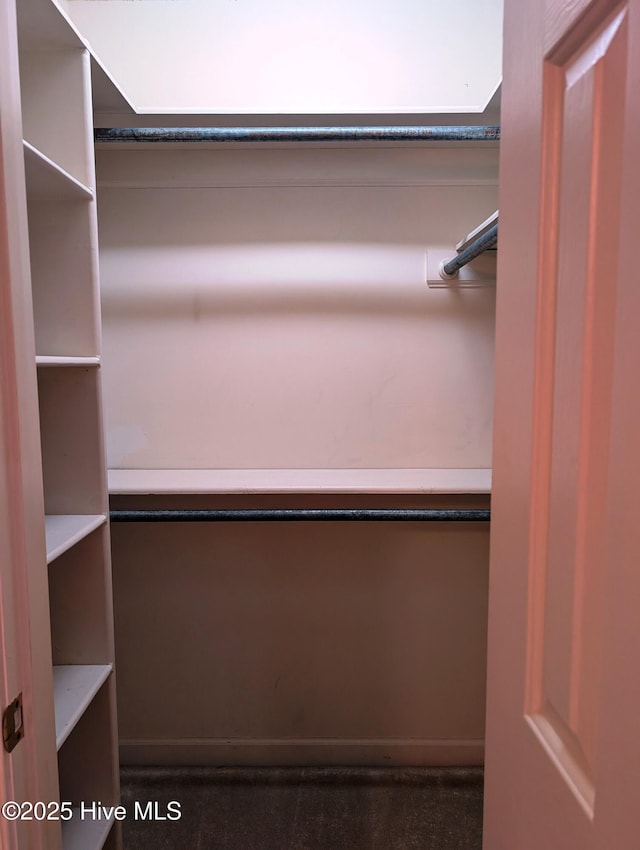view of walk in closet