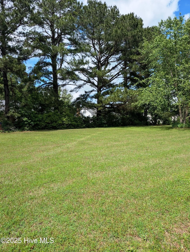 view of grassy yard