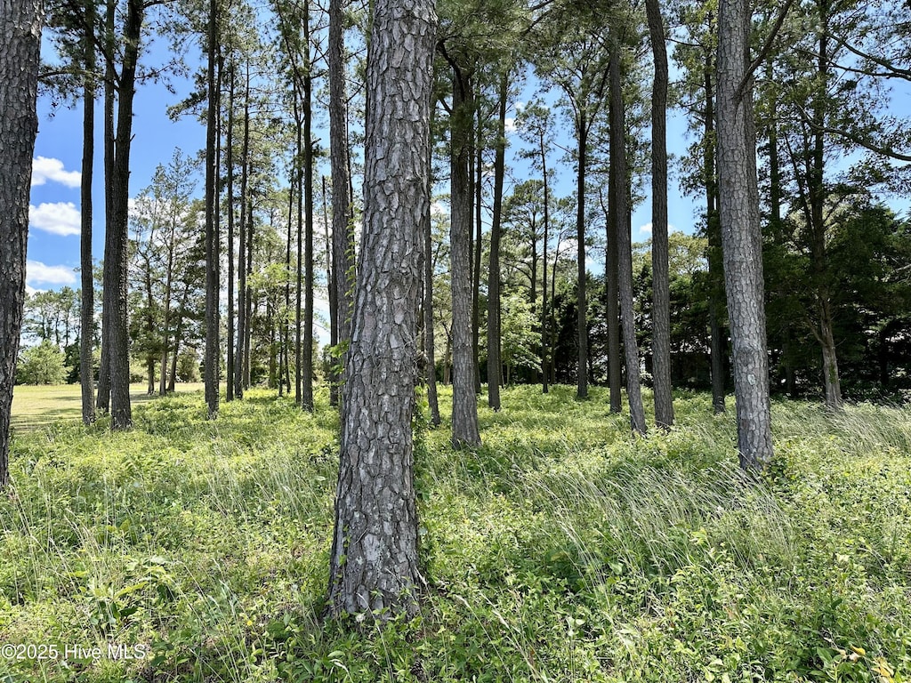 LOT1 Cedar Shores Dr Unit 1, Roper, NC 27970