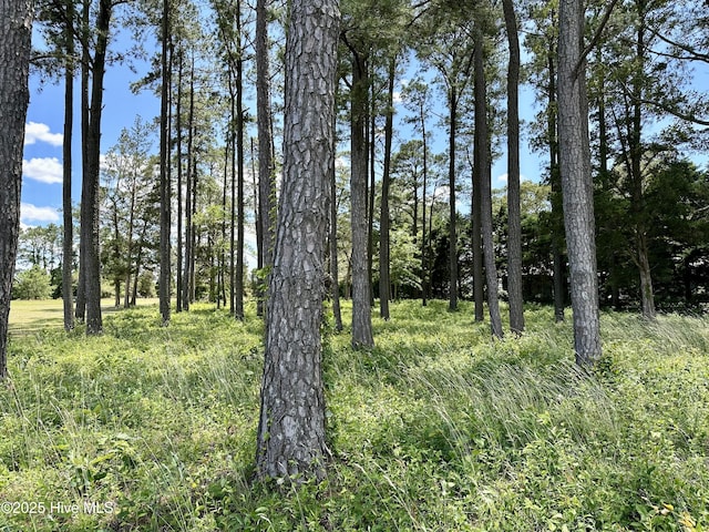 LOT1 Cedar Shores Dr Unit 1, Roper, NC 27970