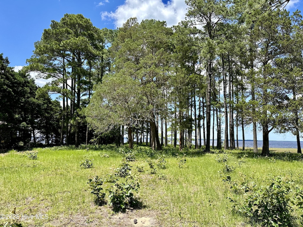 LOT1 Cedar Shores Dr Unit 1, Roper, NC 27970