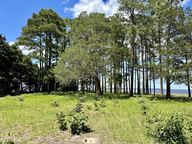 LOT1 Cedar Shores Dr Unit 1, Roper, NC 27970