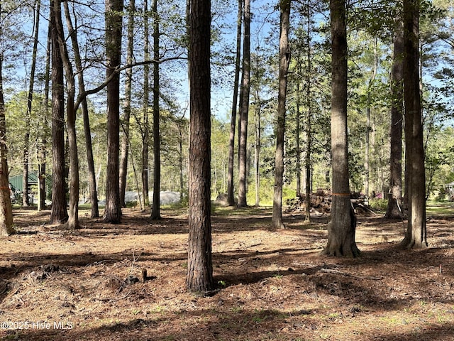 LOT Oakwood Ln Unit 22, Aurora, NC 27806