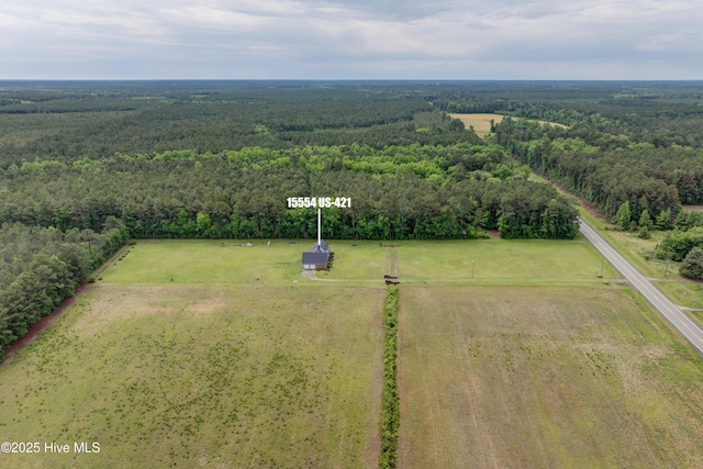 15554 US Highway 421, Burgaw, NC 28425 - overview of rural landscape with a forest