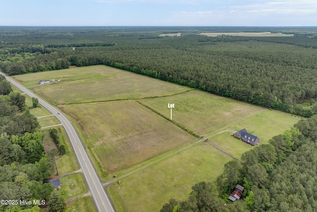 15554 US Highway 421, Burgaw, NC 28425 - overview of rural landscape with a forest