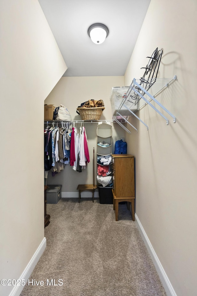 202 Bungalow Rd, Holly Ridge, NC 28445 - walk in closet with carpet floors