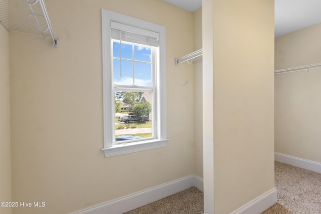 5613 Swiss Stone Ct, Wilmington, NC 28412 - walk in closet featuring carpet flooring