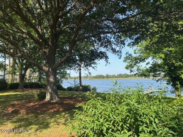 314 Madam Moores Ln, New Bern, NC 28562 - water view