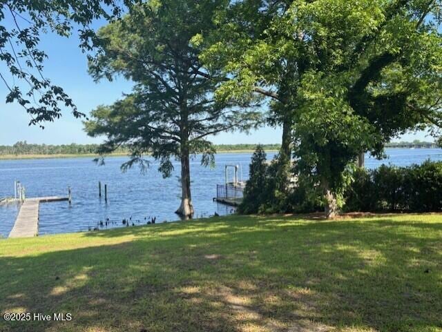 314 Madam Moores Ln, New Bern, NC 28562 - view of green lawn featuring a boat dock and a water view