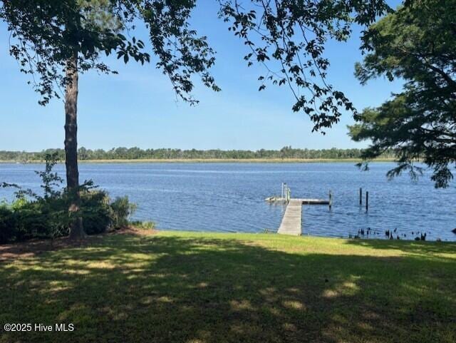 314 Madam Moores Ln, New Bern, NC 28562 - dock featuring a water view and a yard