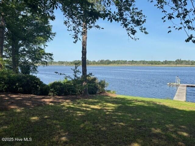 314 Madam Moores Ln, New Bern, NC 28562 - water view featuring a boat dock