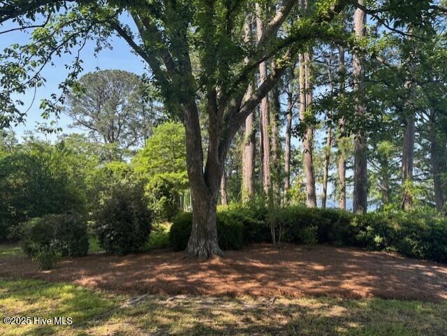 314 Madam Moores Ln, New Bern, NC 28562 - view of local wilderness