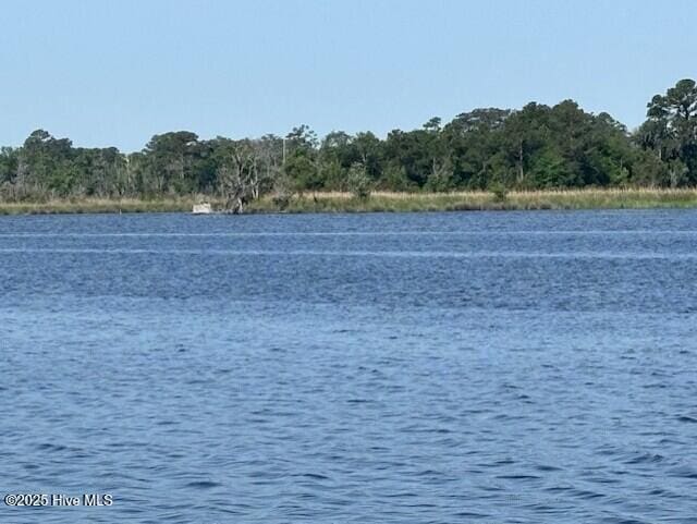 314 Madam Moores Ln, New Bern, NC 28562 - water view