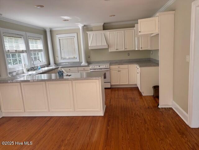 314 Madam Moores Ln, New Bern, NC 28562 - kitchen featuring electric range, premium range hood, ornamental molding, a peninsula, and dark wood-type flooring