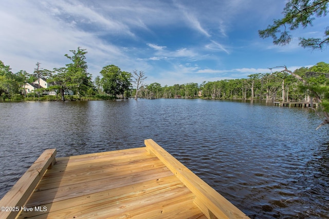 304 Megan Loop S Unit Y42, Hertford, NC 27944