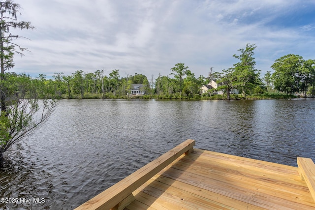 304 Megan Loop S Unit Y42, Hertford, NC 27944