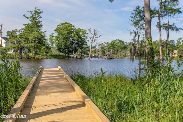 304 Megan Loop S Unit Y42, Hertford, NC 27944