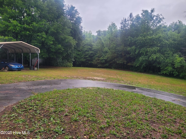 view of grassy yard featuring a carport