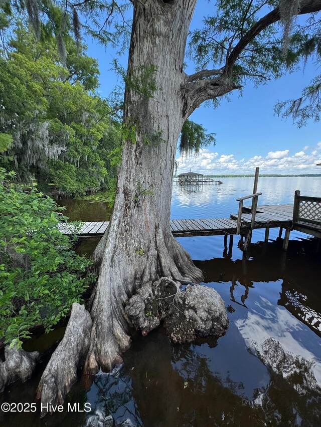 2810 Canal Cove Rd, Lake Waccamaw, NC 28450 - dock with a water view