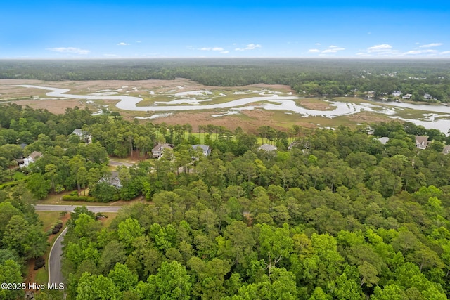 2112 Arnold Palmer Dr, Shallotte, NC 28470 - bird's eye view of a nearby body of water and a heavily wooded area