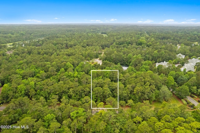 2112 Arnold Palmer Dr, Shallotte, NC 28470 - aerial overview of property's location featuring a forest and property boundaries highlighted