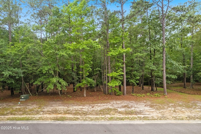2112 Arnold Palmer Dr, Shallotte, NC 28470 - view of yard with a forest view