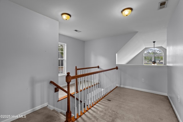 149 Lee St, Holly Ridge, NC 28445 - hall with healthy amount of natural light, carpet floors, and baseboards