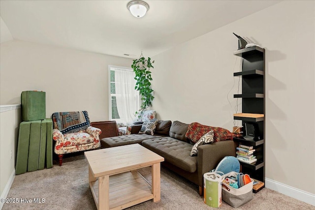 11 Bedford Cir, Pinehurst, NC 28374 - living room featuring carpet flooring and baseboards