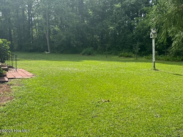 view of green lawn