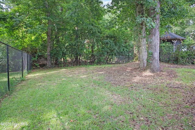 2414 Educational Dr, New Bern, NC 28562 - view of yard
