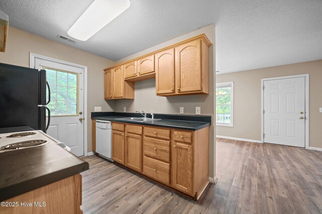 325 W Martin Luther King Jr Dr, Washington, NC 27889