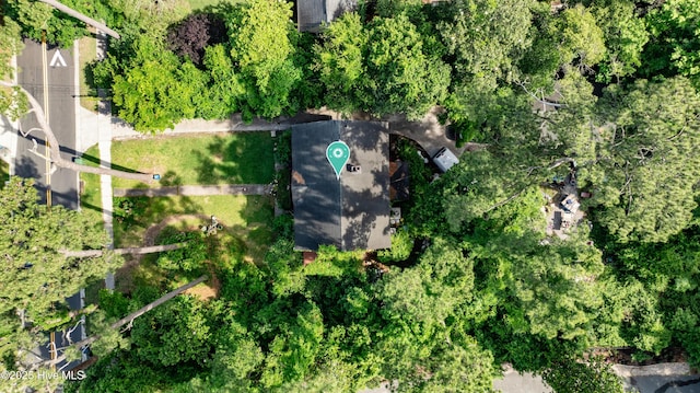 115 Forest Hills Dr, Wilmington, NC 28403 - drone / aerial view