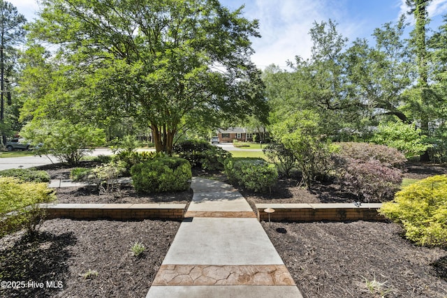221 Quail Ridge Rd, Wilmington, NC 28409 - view of home's community