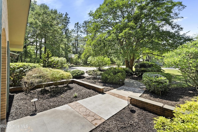 221 Quail Ridge Rd, Wilmington, NC 28409 - view of yard