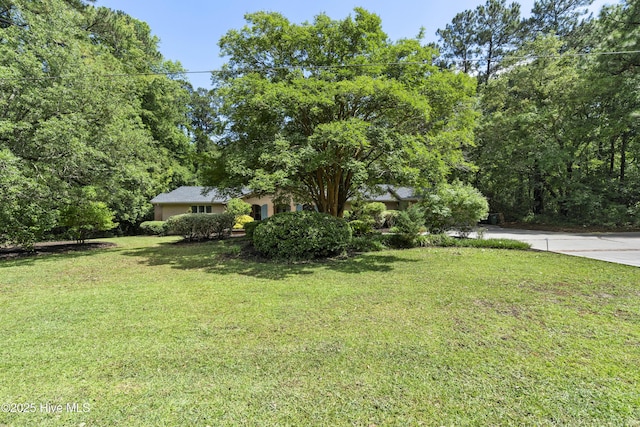 221 Quail Ridge Rd, Wilmington, NC 28409 - view of green lawn