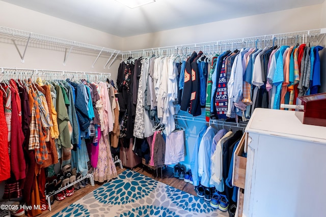 433 Landsdowne Cir, Hampstead, NC 28443 - walk in closet with wood finished floors