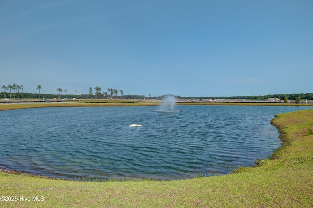 1145 Saint Augustine Dr, Castle Hayne, NC 28429 - water view
