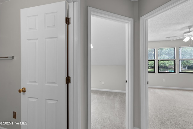 935 Birch Creek Dr, Wilmington, NC 28403 - corridor featuring carpet floors and a textured ceiling