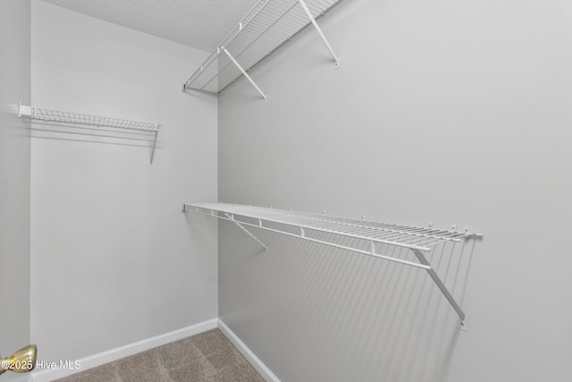 935 Birch Creek Dr, Wilmington, NC 28403 - walk in closet featuring carpet floors