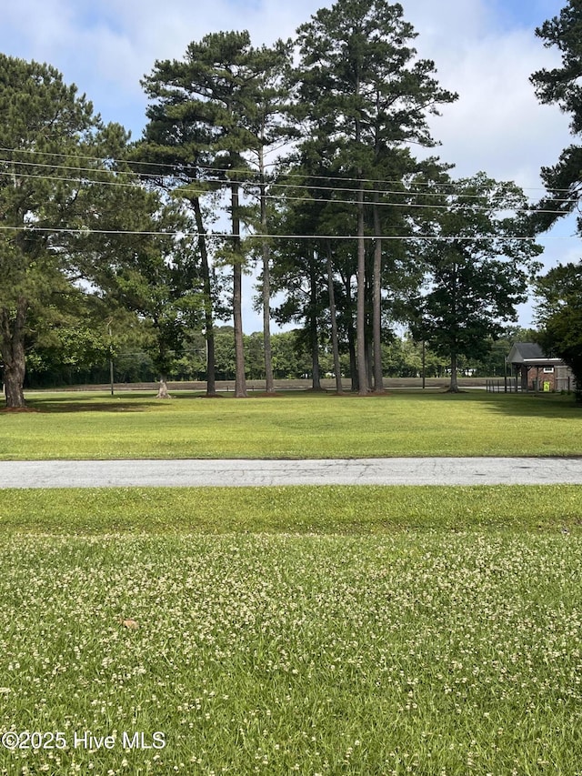 527 Chicora St, Grimesland, NC 27837 - view of green lawn