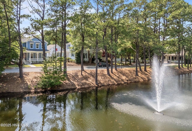 9213 Rivendell Pl SW, Calabash, NC 28467 - water view