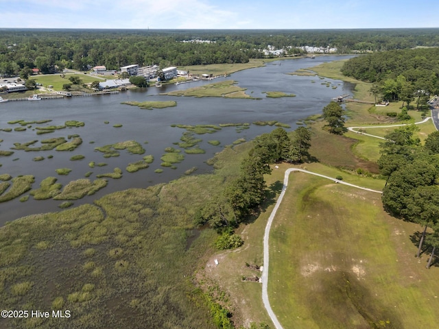 9213 Rivendell Pl SW, Calabash, NC 28467 - view of property location featuring a large body of water and a forest