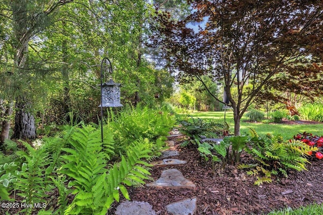 1013 Dowling Ct, Leland, NC 28451 - view of yard