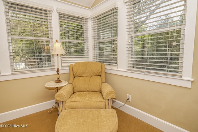 659 Wash Woods Way, Bald Head Island, NC 28461 - sitting room featuring carpet, baseboards, and plenty of natural light